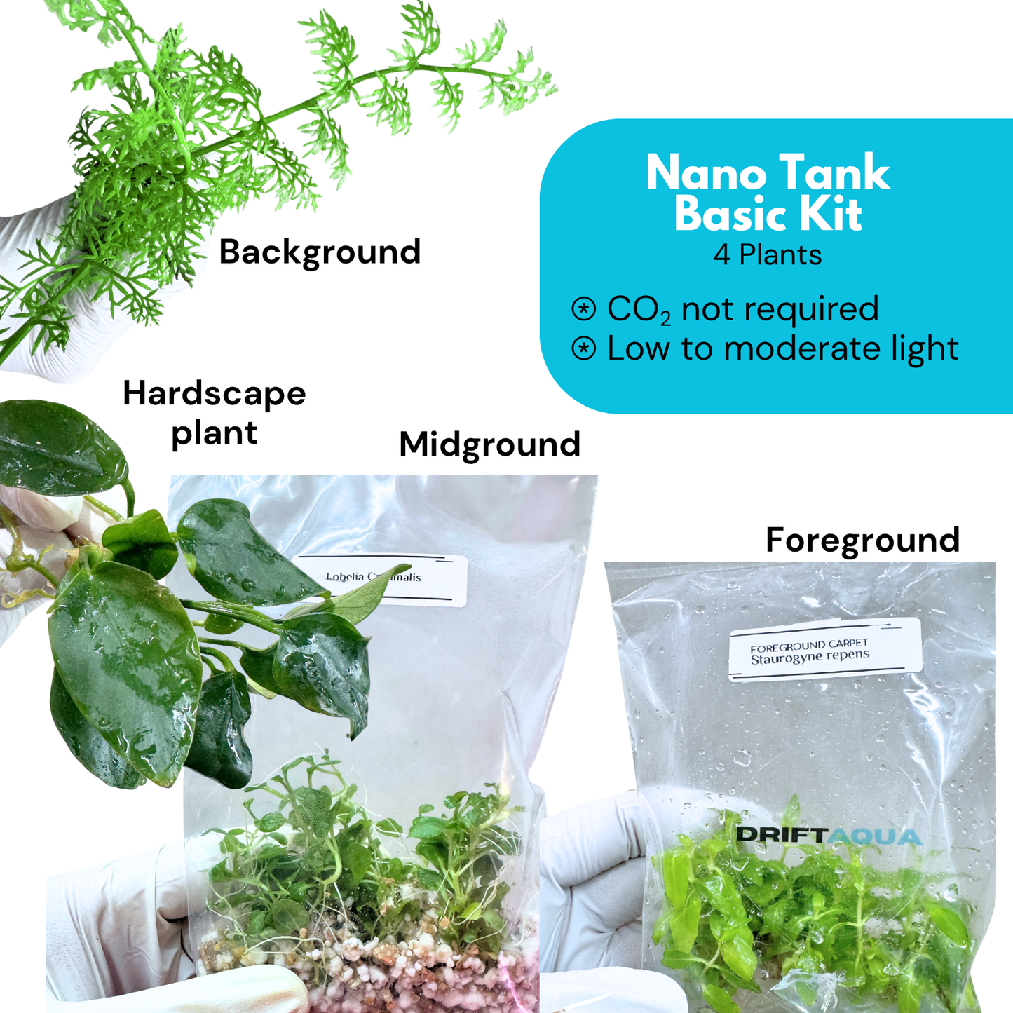 Nano Tank Basic Kit (3-10 Gallon)