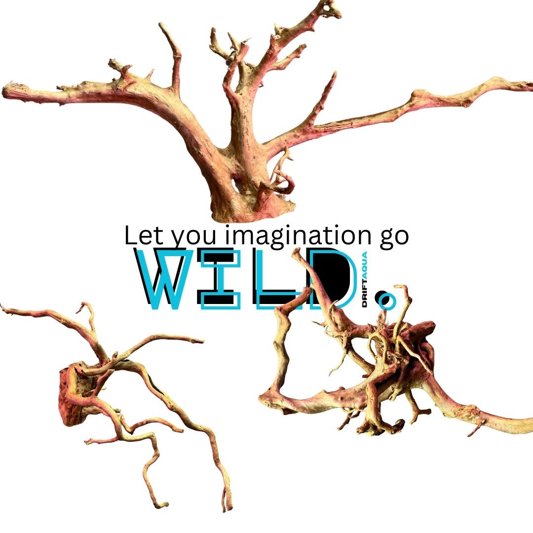 Small Rhododendron Driftwood (12"-16")