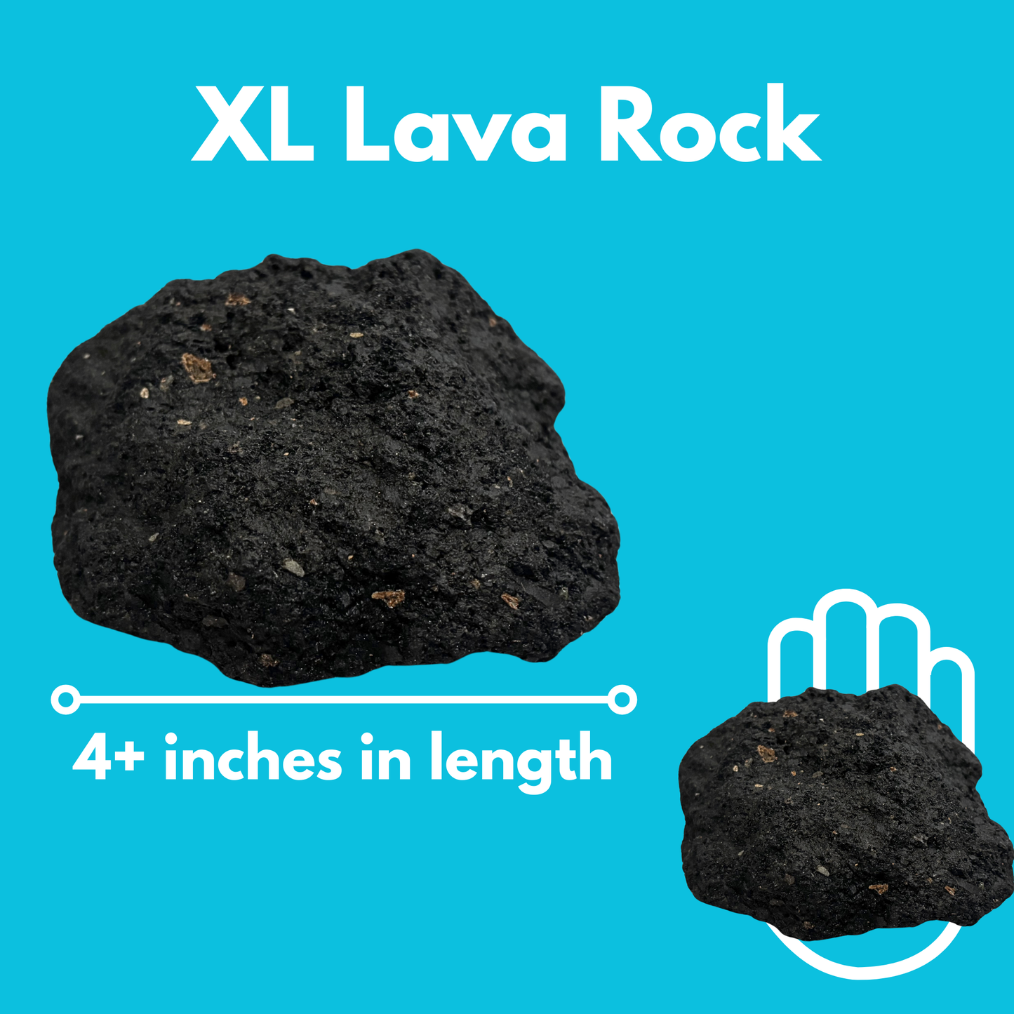 XL Lava Rock (4"+)