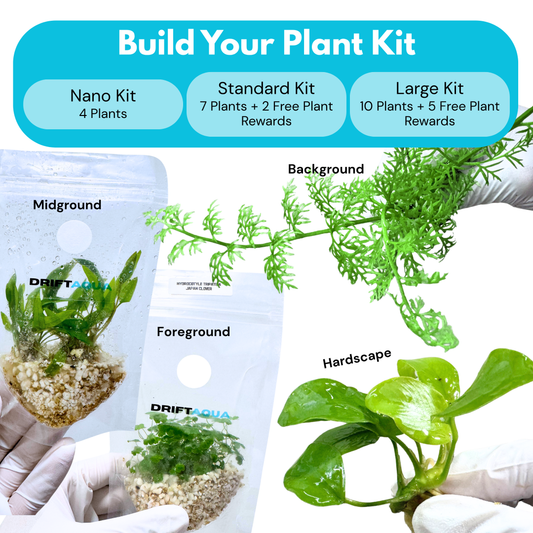 Build Your Plant Kit (best value)