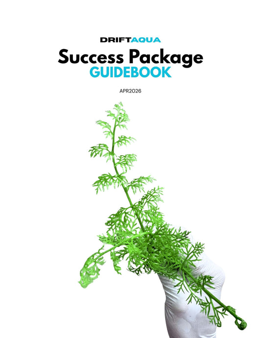 Success Package Guidebook