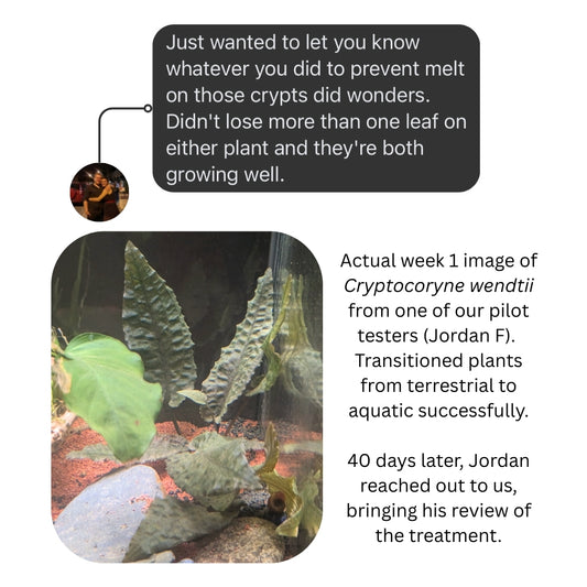 DriftTech™ Transition