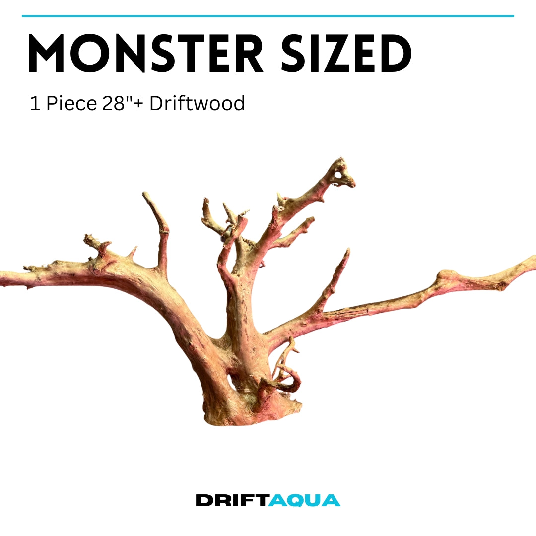 Extra large driftwood piece for aquarium measuring over 28 inches long