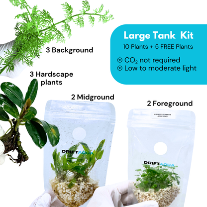 Large Tank Kit + 5 FREE Plants