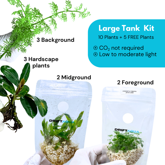 Large Tank Kit + 5 FREE Plants