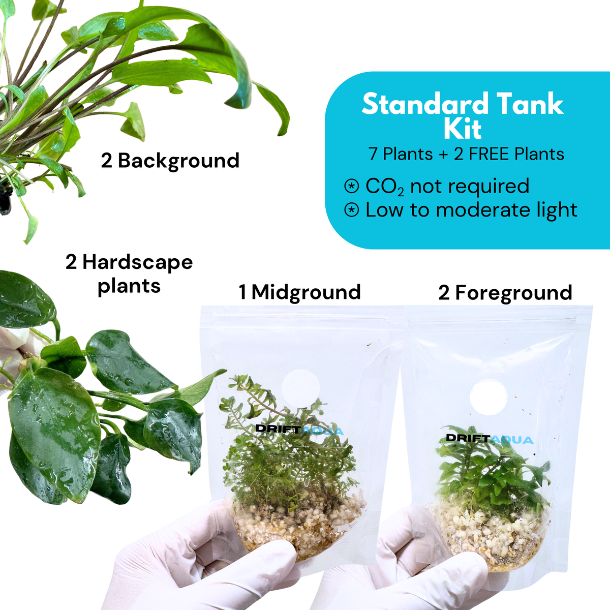 Medium Tank Kit + 2 FREE Plants