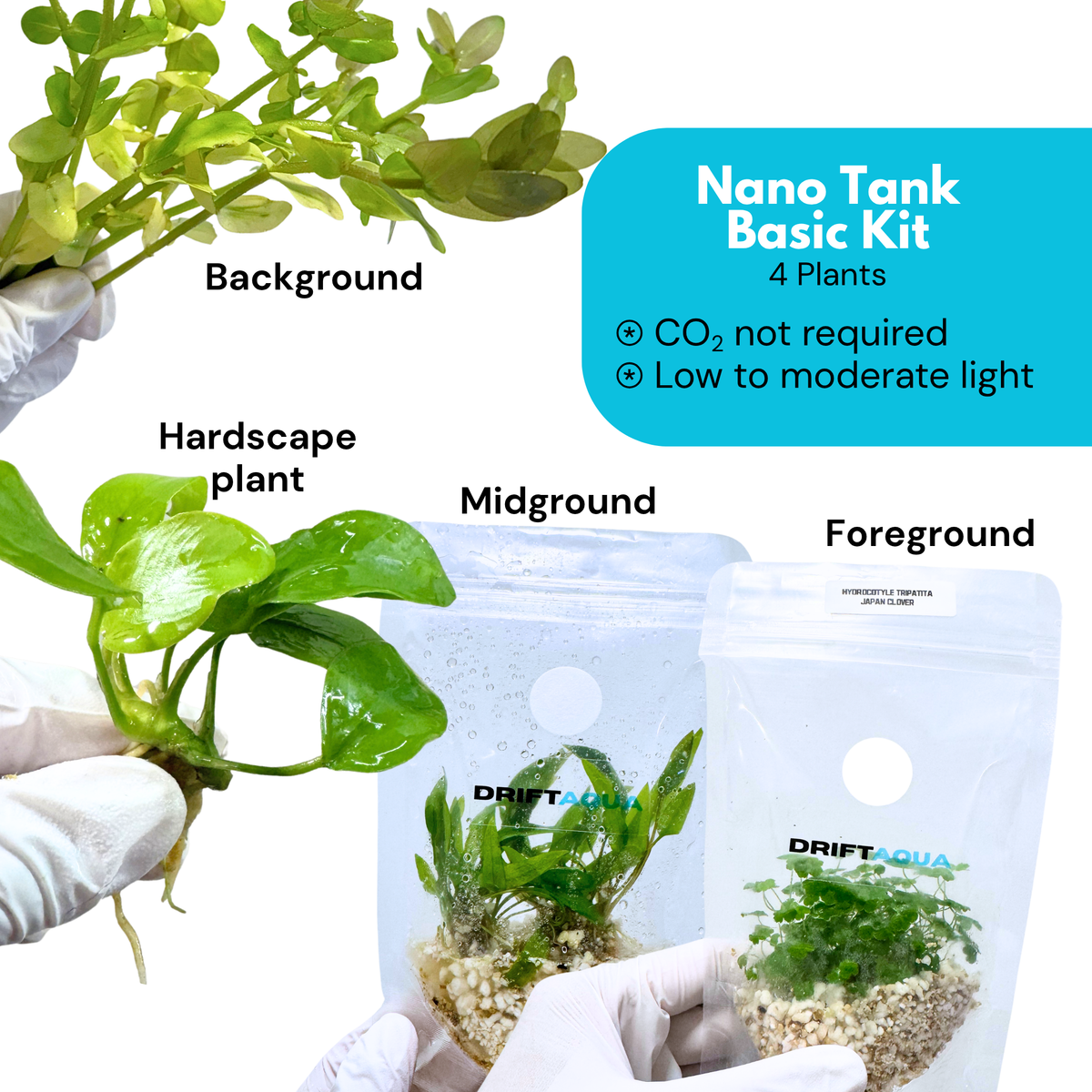 Nano Tank Basic Kit (3-10 Gallon)