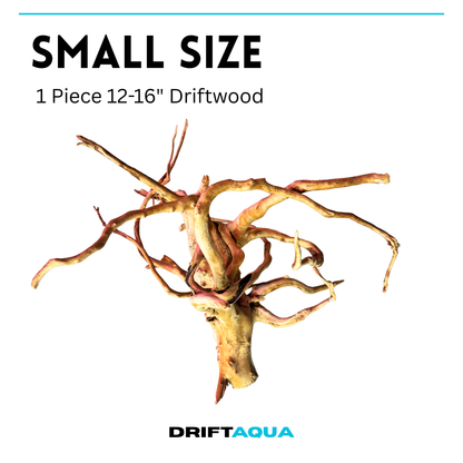 Small Size (12"-16")