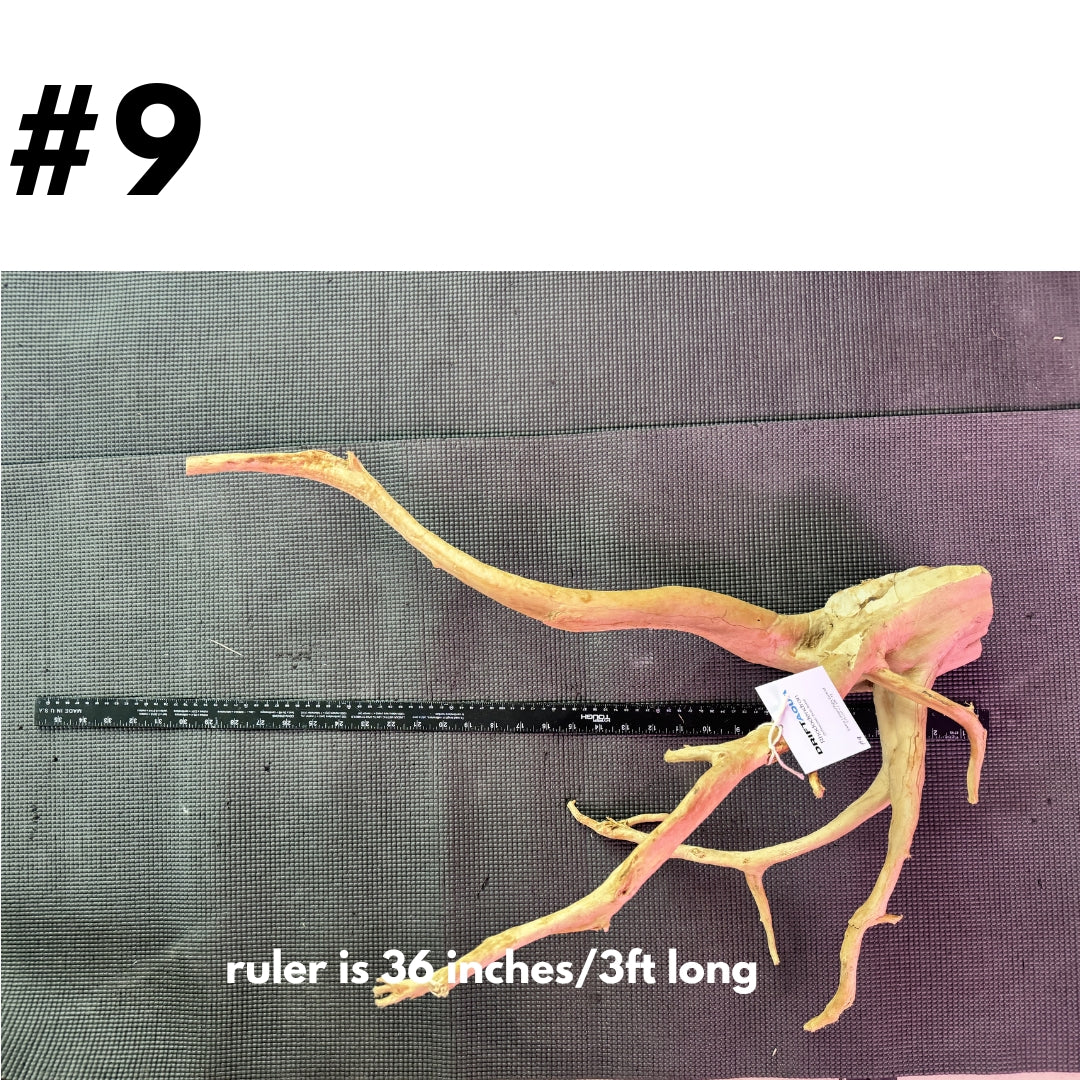 XL Driftwood #9