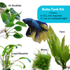 Betta Tank Kit