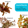 Colorful Plant Set