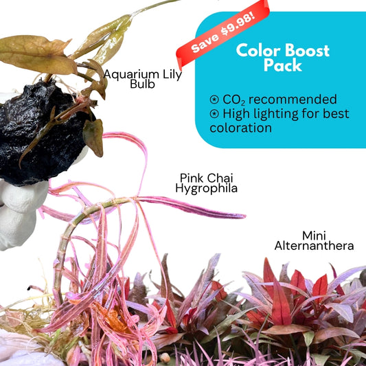 Premium Color Boost Pack (Save $9.98)