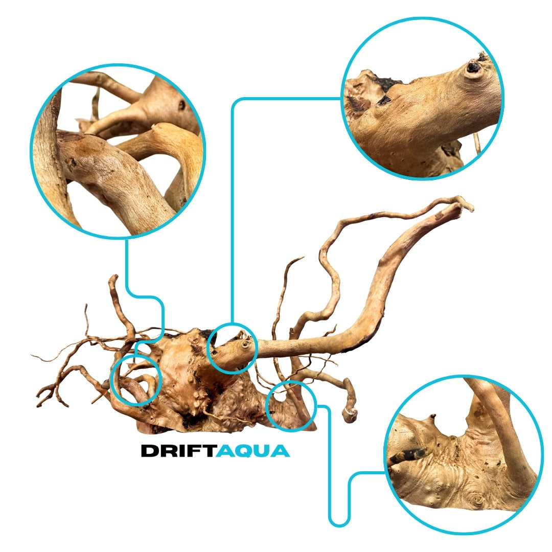 Small Rhododendron Driftwood (12"-16")