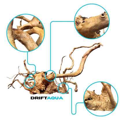 Small Rhododendron Driftwood (12"-16")