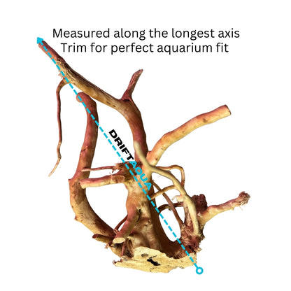 Small Rhododendron Driftwood (12"-16")