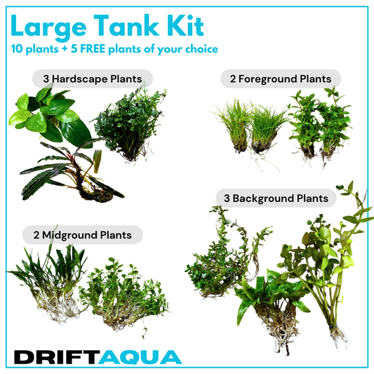 Large Tank Kit + 5 FREE Plants