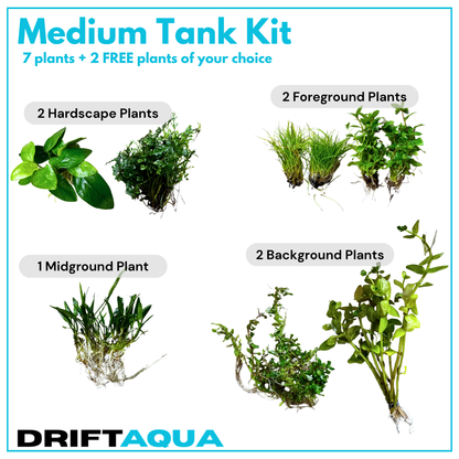 Medium Tank Kit + 2 FREE Plants