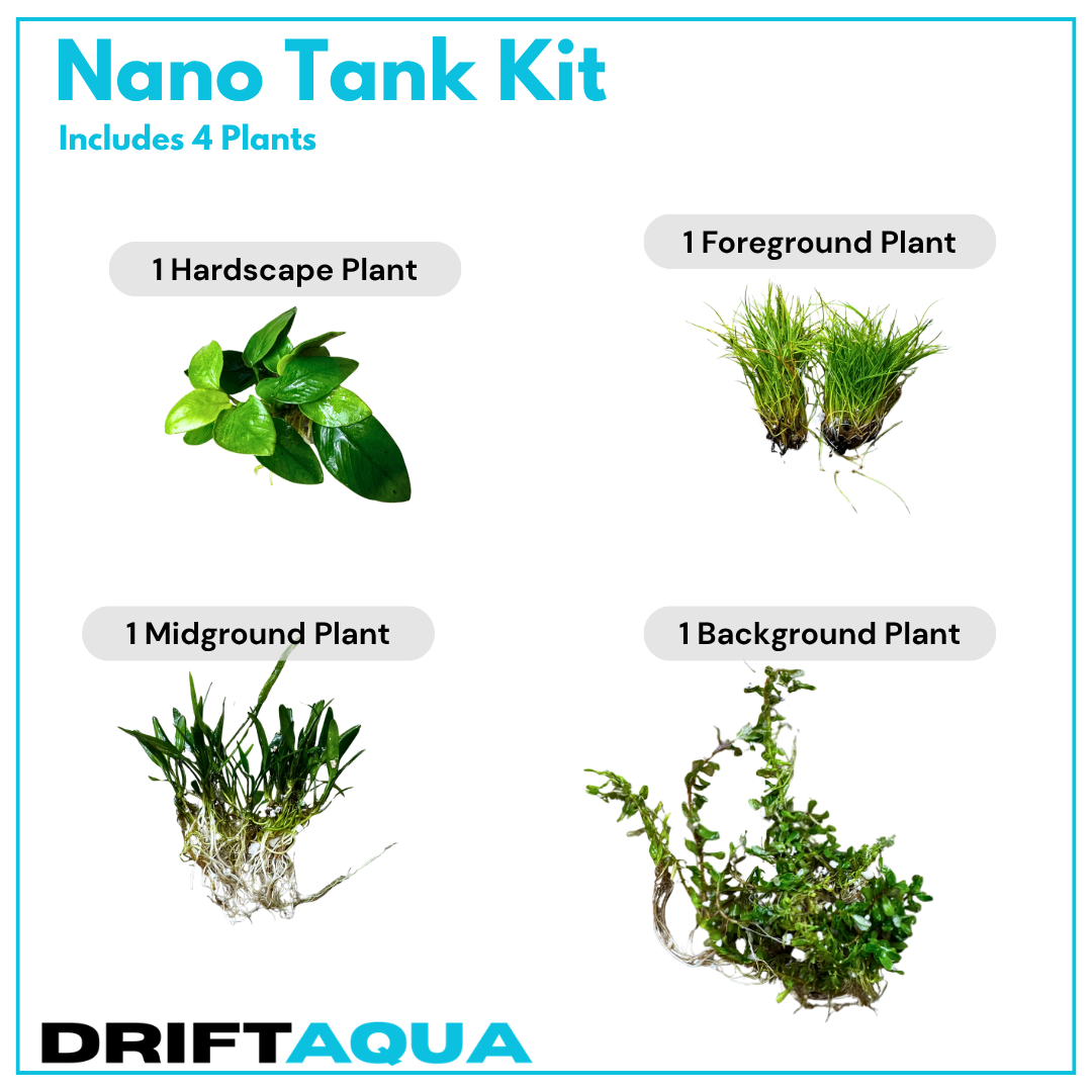 Nano Tank Basic Kit (3-10 Gallon)