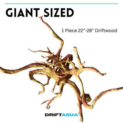 Large driftwood piece for aquarium measuring 22-28 inches