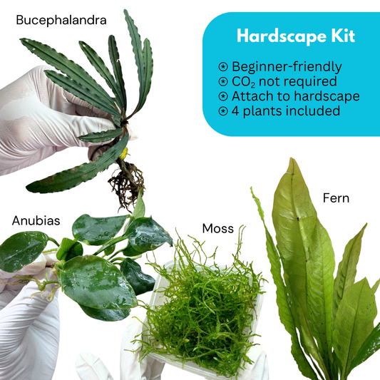 Hardscape Kit (4 plants)