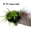 Moss Rock 2"-3"