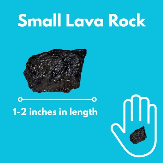 Small Lava Rock (1-2")