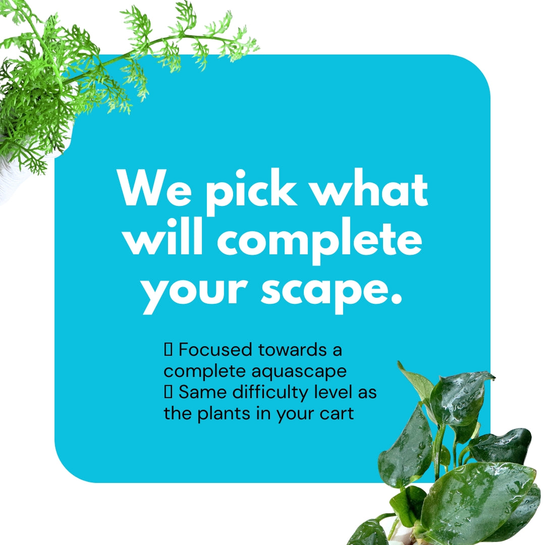 -We Pick Your Free Plants-