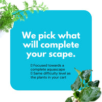 -We Pick Your Free Plants-