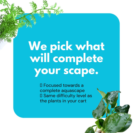 -We Pick Your Free Plants-