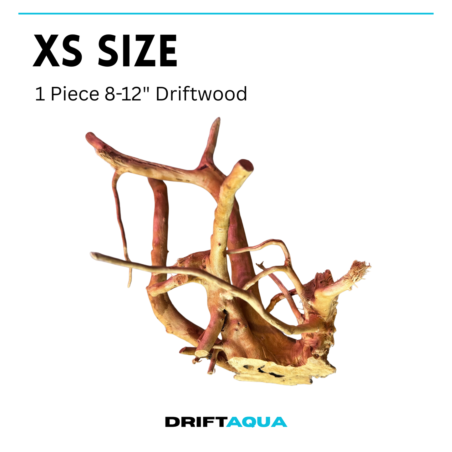 XS Size (8"-12")