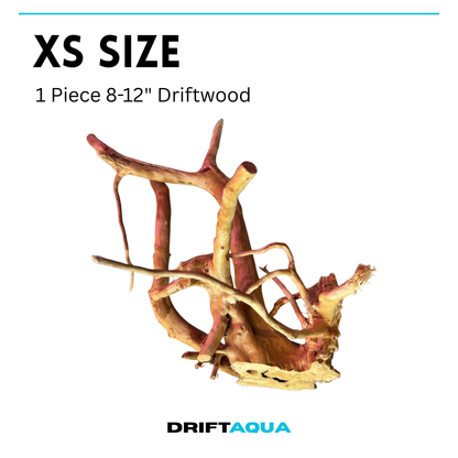XS Size (8"-12")